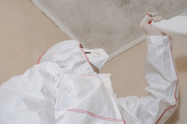 Best Mold Testing  in Sullivan, IN